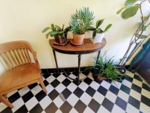 Some houseplants and a chair in the entryway with a checkered b&w floor